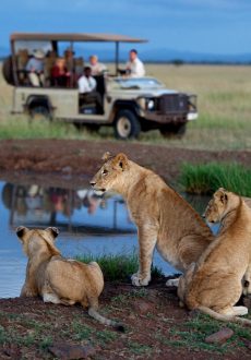 África